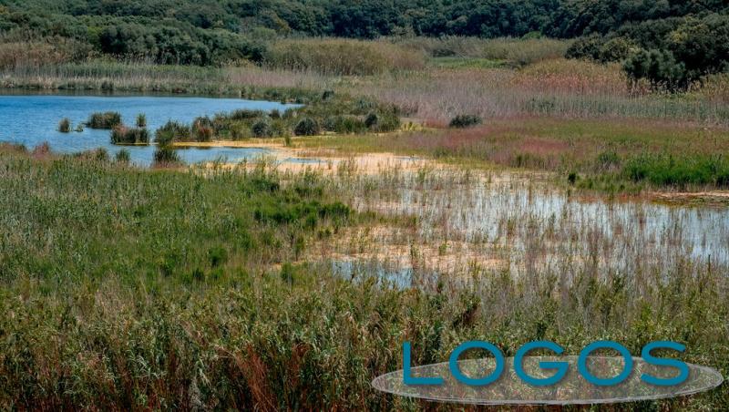 Territorio - Riserve idriche (Foto internet)