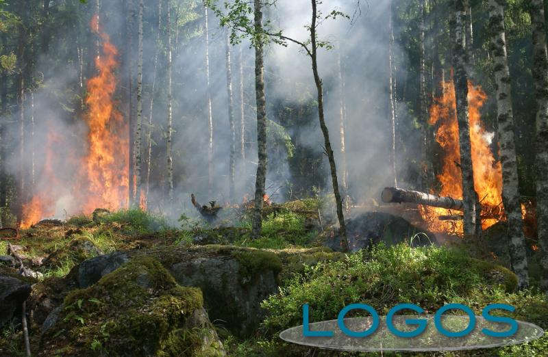 Ambiente - Incendio nei boschi