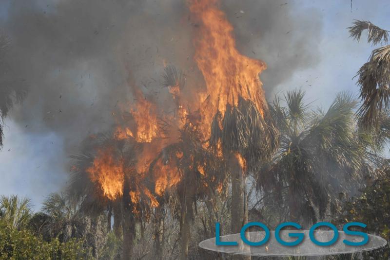 Attualità - Incendio (Foto internet) Attualità - Incendio (Foto internet)