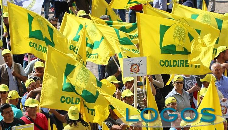 Attualità - Agricoltori e allevatori in piazza (Foto internet) Attualità - Agricoltori e allevatori in piazza (Foto internet)