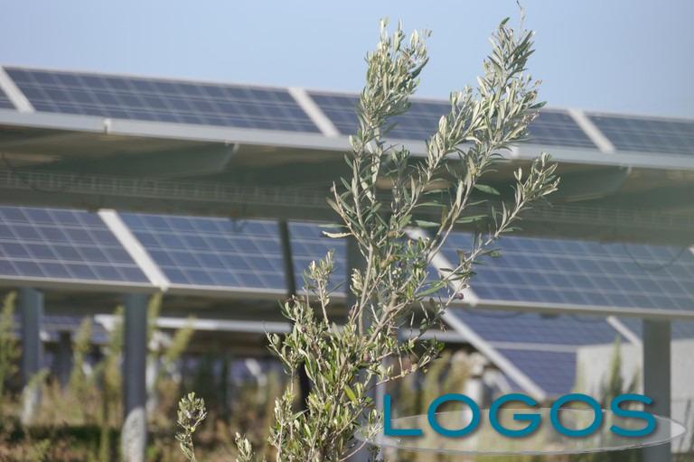 Ambiente - Agrisolare (Foto internet) Ambiente - Agrisolare (Foto internet)