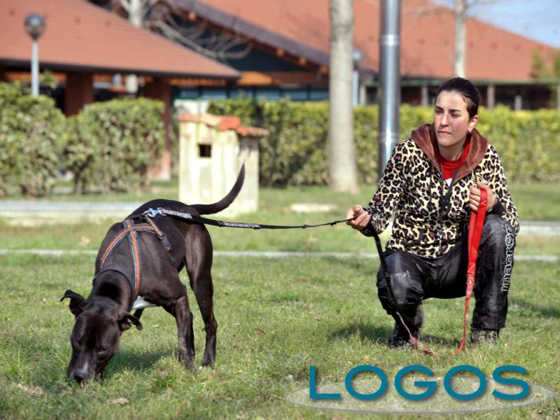 Milano - Cani speciali (foto internet)