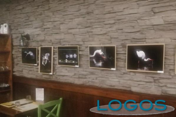 Eventi - 'Emozioni in natura' Eventi - 'Emozioni in natura'