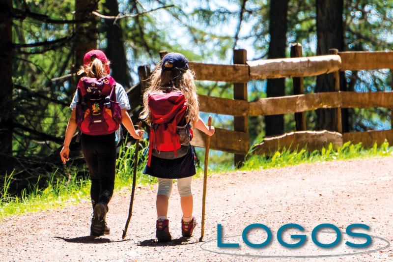 Territorio - Baby pellegrini Territorio - Baby pellegrini