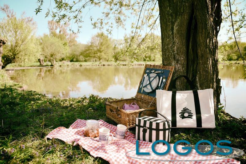 Sapori - Pic-nic (Foto internet)