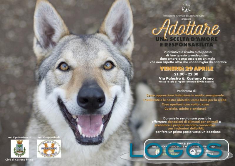 Castano / Eventi - Serata sull'adozione dei cani 