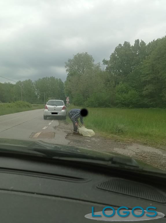 Novara - Daino ferito, fatto sparire 