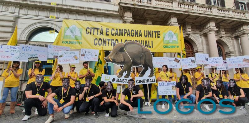 Attualità - Agricoltori in piazza a Roma 