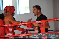 Castano / Sport - 'Boxe Revolution'.2