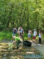 Territorio / Ambiente - Le operazioni nel Ticino 