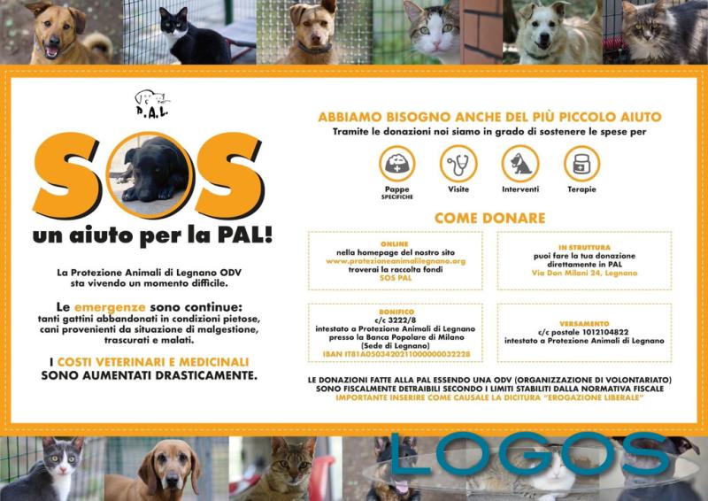 Territorio / Legnano - ‘Sos: un aiuto per la PAL’