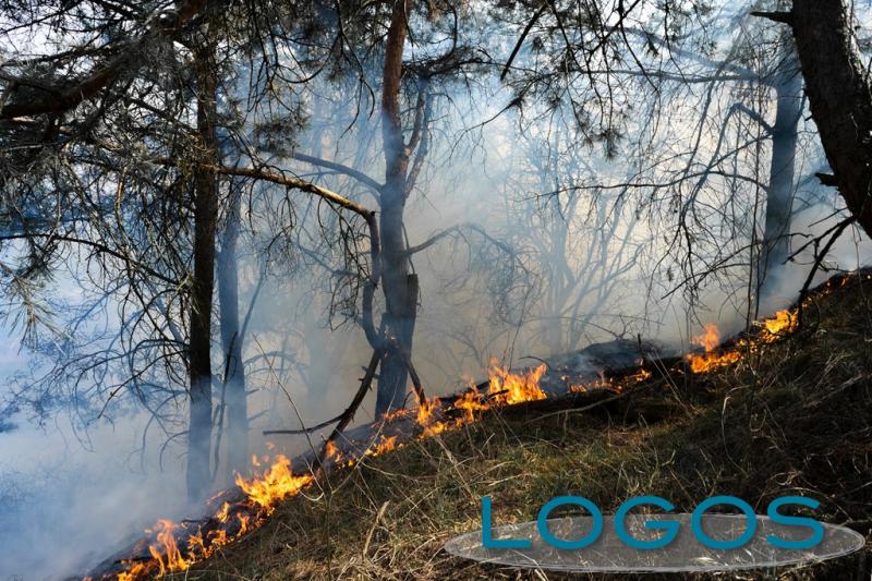 Attualità - Incendio boschivo Attualità - Incendio boschivo