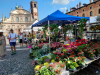 Eventi - 'Vigevano in fiore' 