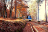 Eventi - Treno del Foliage