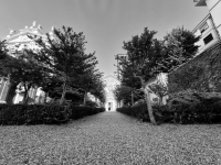 Milano_Basilica SAn Celso