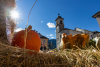 Eventi - Zucche a Santa Maria Maggiore