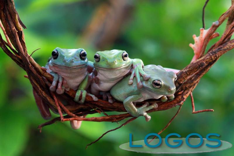 Territorio - Safari Park Territorio - Safari Park