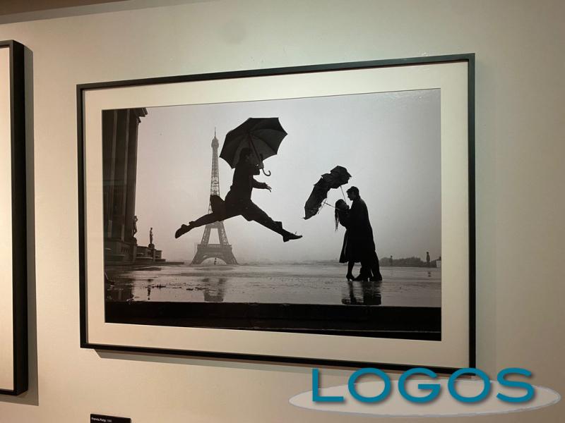 Milano - La mostra di Erwitt