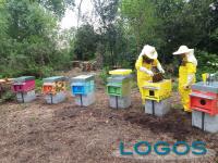Legnano / Ambiente - Le api al Castello 