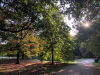 Cuggiono - Parco di Villa Annoni in autunno