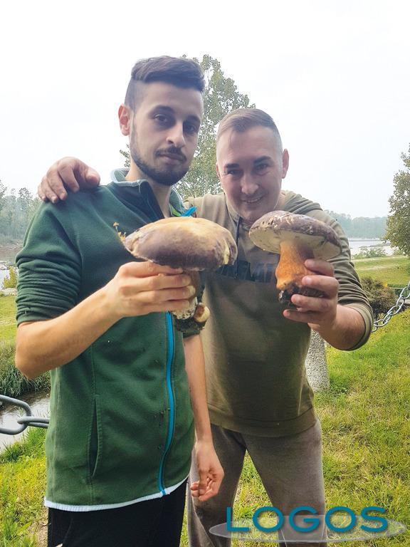 Territorio - Alessandro e Andrea 