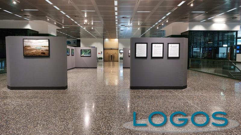 Malpensa / Eventi - Terre del Nord in mostra a Malpensa  