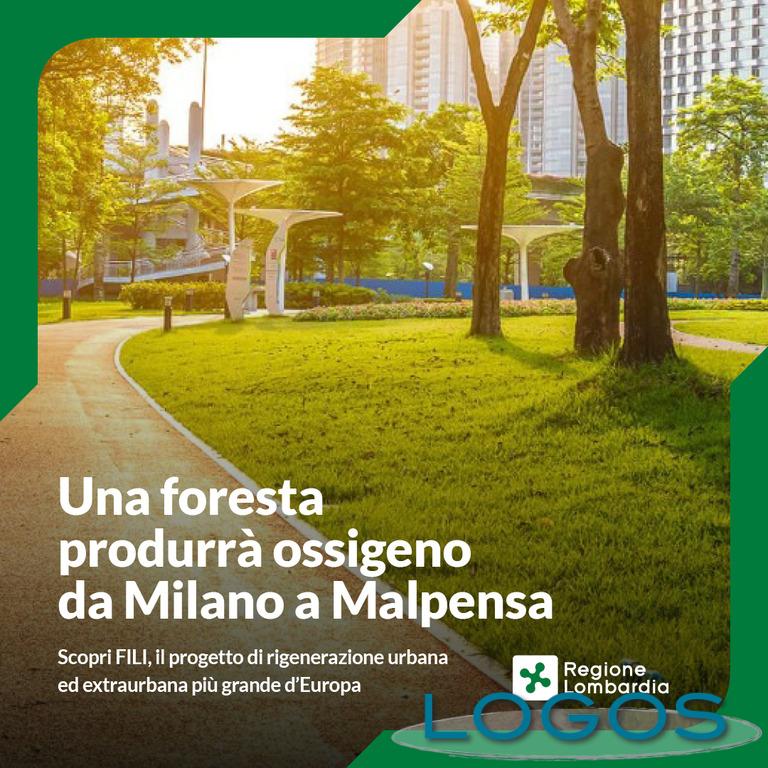 Milano / Malpensa - Foresta da Milano a Malpensa 