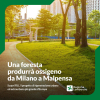Milano / Malpensa - Foresta da Milano a Malpensa 