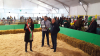 Inveruno / Eventi - Antica Fiera di San Martino 