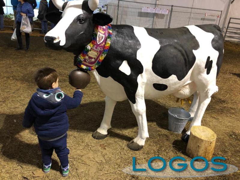 Inveruno, Eventi, Fiera San Martino