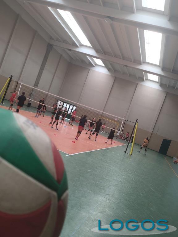 Buscate / Sport - Volley Don Bosco 