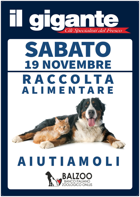 Commercio - Raccolta alimenti per animali