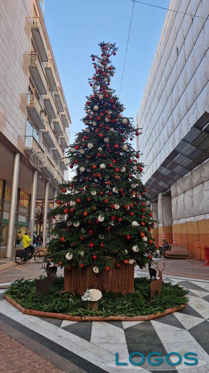 Busto Arsizio - Albero di Natale 