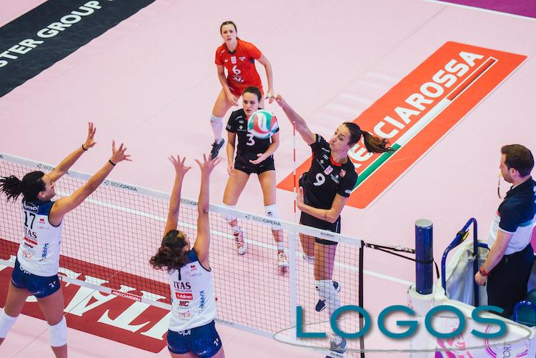 Busto Arsizio, Sport locale