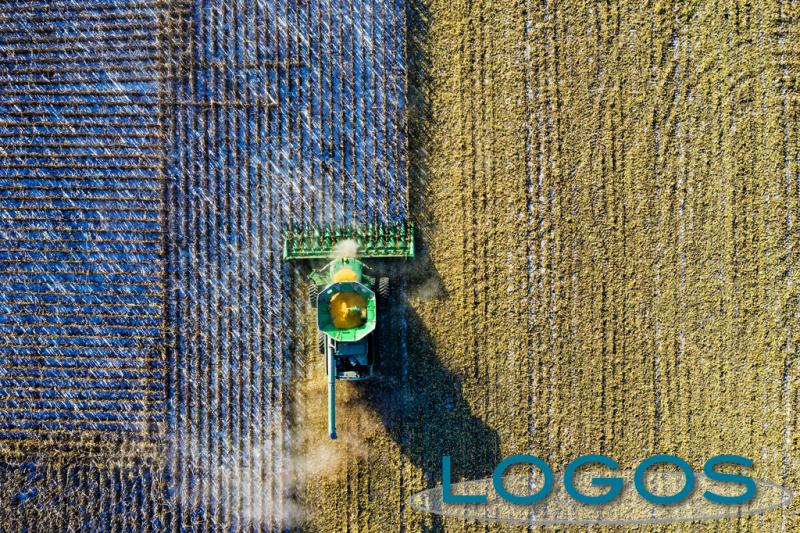 Ambiente - Campo agricolo visto dall'alto 