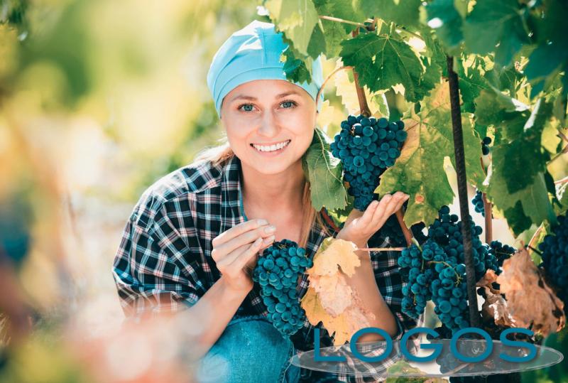 Eventi - Vino, sostantivo femminile (la presentazione)