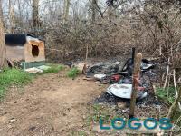 Castano / Cronaca - Bruciata la colonia felina 