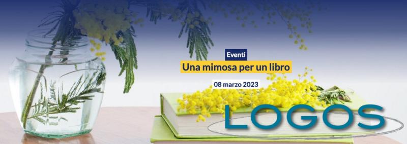 Scuola, Castellanza, Libri