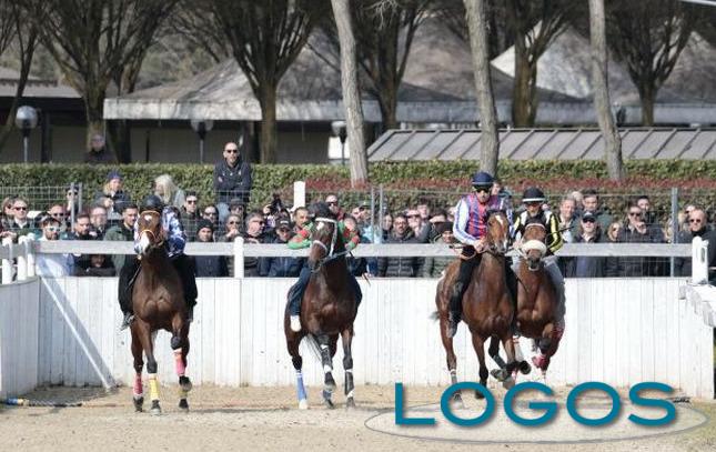 Legnano - Corse di addestramento al Palio 