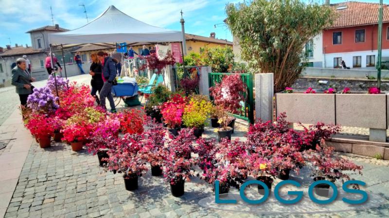 Boffalora Ticino, Eventi