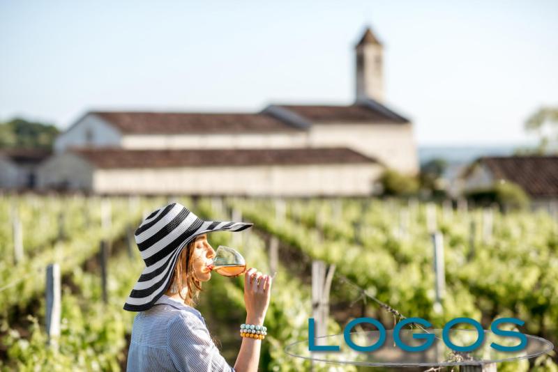 Territorio, Sapori, Viaggi