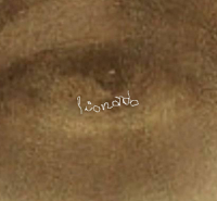 Cultura - firma leonardo, 1