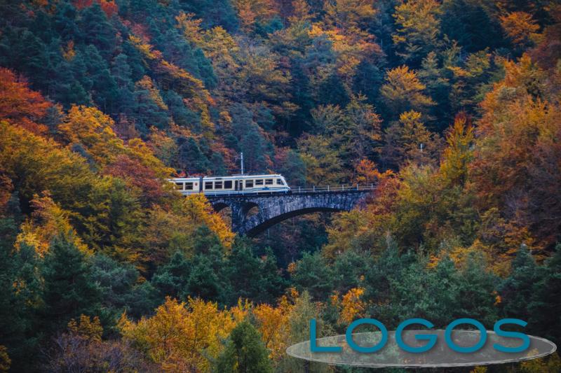 Viaggi - Ferrovia Vigezzina-Centovalli