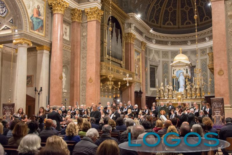 Musica - 'Amadeus' a Gallarate