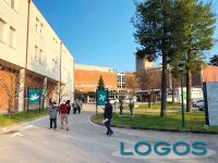 Territorio - Ospedale 