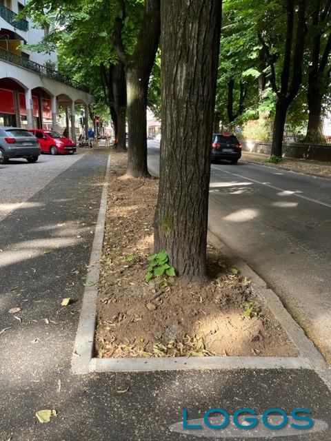 Legnano - Interventi in strada 