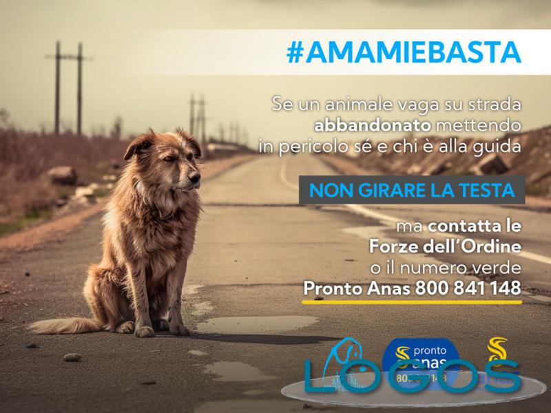 Attualità / Sociale - #AMAMIeBASTA