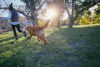 Territorio - Passeggiata con il cane 