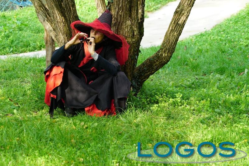 Eventi - 'Il segreto degli alberi' 