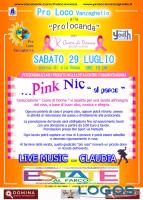 Vanzaghello / Eventi - 'Pink Nic al Parco' 